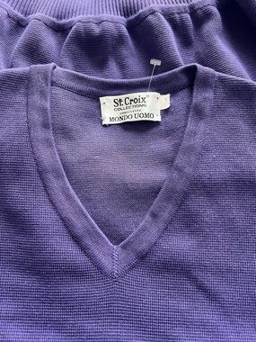 St. Croix Men's V-Neck Sweater in Purple